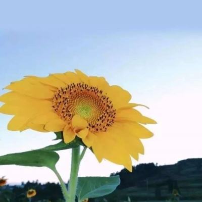 3d福彩app下载官方版-3d福彩app下载最新版下载正式版V0.57.53.145 -安卓正式版