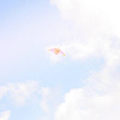 吃鸡盒子免费版下载