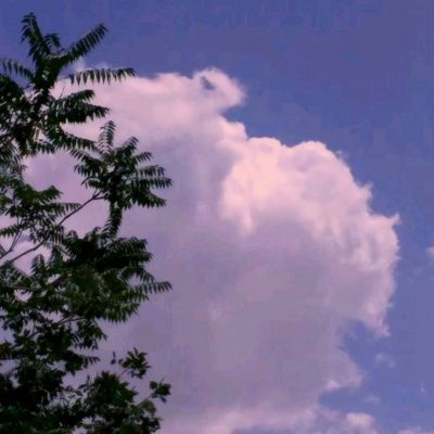 战姬学院游戏下载